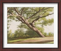 Framed Leaning Tree, 2003