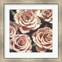 Framed Roses