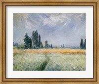 Framed Wheatfield, 1881