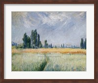 Framed Wheatfield, 1881