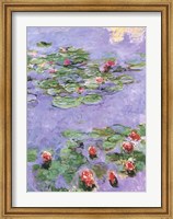 Framed Water Lilies, c. 1914-1917