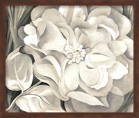 Framed White Calico Flower, 1931