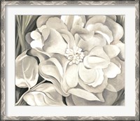 Framed White Calico Flower, 1931