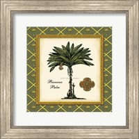 Framed Banana Palm (Green)