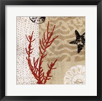 Framed Coral Impressions I