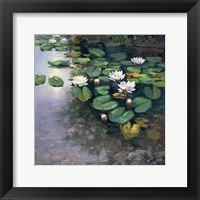 Framed Waterlilies II