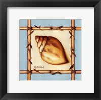 Framed Bamboo Seashell I