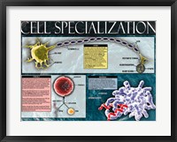 Framed Cell Specialization