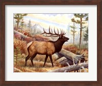 Framed Elk