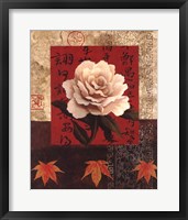 Framed White Chinese Rose