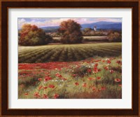 Framed Fields of Provence II