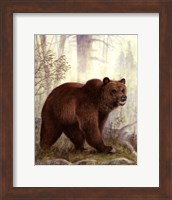 Framed Grizzly Mama