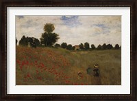 Framed Poppies