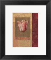 Framed Tulipe Rosee