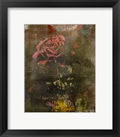 Framed Classic Rose I