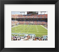 Framed Pro Player Stadium  - N.F.L. (Dolphins)