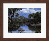 Framed Florida Wetlands