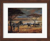Framed Zebras On The Plains