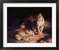 Framed Pair Of Leopards