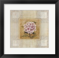 Framed Pink White Flower