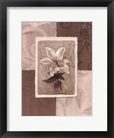 Framed Cream Flower