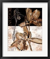 Framed Blooming Orchid II