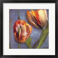 Framed Parrot Tulips I