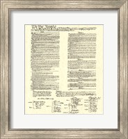 Framed Constitution (Document)