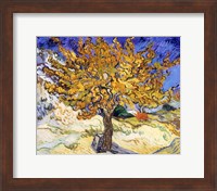Framed Mulberry Tree in Autumn, c.1889