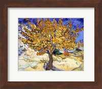 Framed Mulberry Tree in Autumn, c.1889