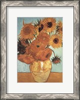 Framed Sunflower on Blue, c.1888