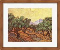 Framed Olive Trees, c.1889