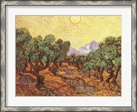 Framed Olive Trees, c.1889