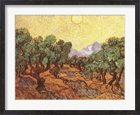 Framed Olive Trees, c.1889