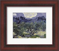 Framed Olive Trees, 1889