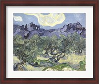 Framed Olive Trees, c.1889 (blue & green)