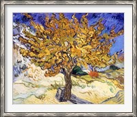 Framed Mulberry Tree in Autumn, c.1889