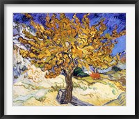 Framed Mulberry Tree in Autumn, c.1889