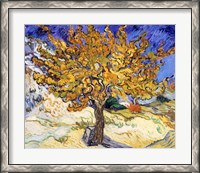 Framed Mulberry Tree in Autumn, c.1889