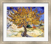 Framed Mulberry Tree in Autumn, c.1889