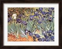 Framed Irises in the Garden, Saint-Remy, c.1889