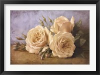Framed Roses From Ivan
