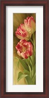Framed Spring's Parrot Tulip II