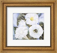 Framed Jimson Weed, 1935