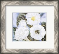 Framed Jimson Weed, 1935