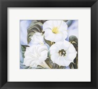 Framed Jimson Weed, 1935