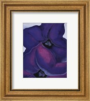 Framed Purple Petunias, 1925