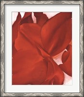 Framed Red Cannas