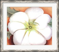 Framed White Flower on Red Earth, No. 1