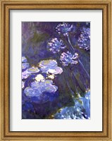 Framed Water Lilies and Agapanthus, 1914-1917